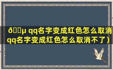 🌵 qq名字变成红色怎么取消（qq名字变成红色怎么取消不了）